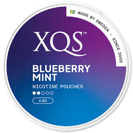 XQS Blueberry Mint Light-Nicotine Pouches-Gigasnus.com