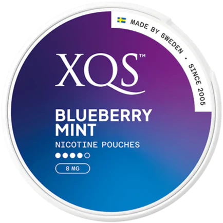 XQS Blueberry Mint Strong-Nicotine Pouches-Gigasnus.com