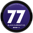 77 Black Currant-Nicotine Pouches-Gigasnus.com