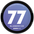 77 Blueberry Ice-Nicotine Pouches-Gigasnus.com