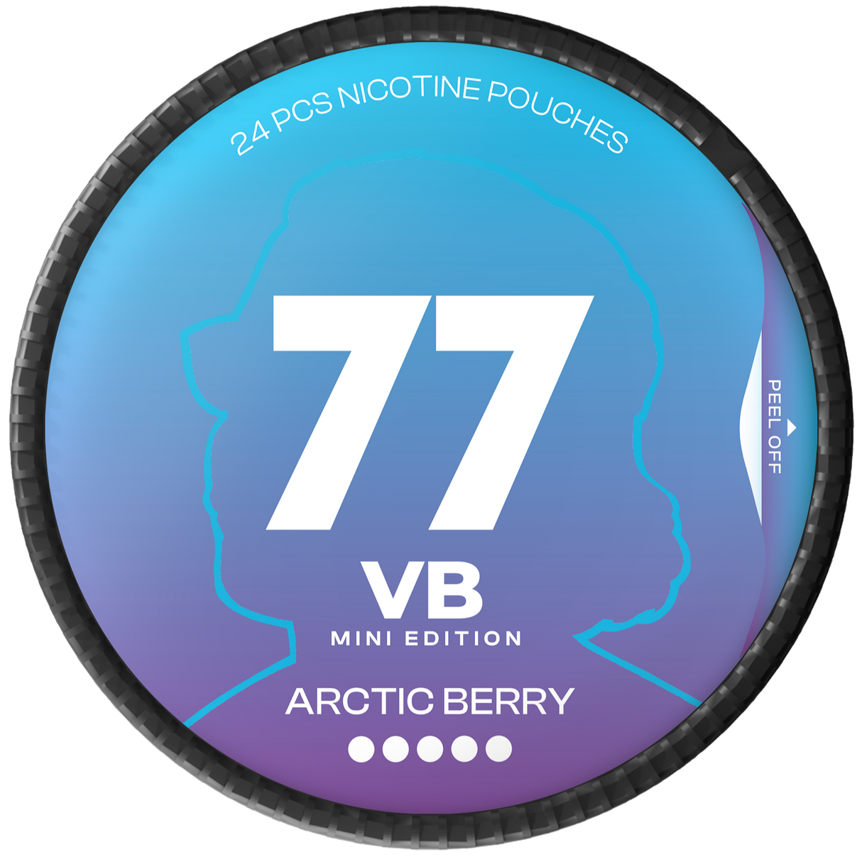 77 Ghost VB Arctic Berry Mini-Nicotine Pouches-Gigasnus.com