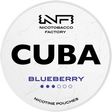Cuba White Blueberry-Nicotine Pouches-Gigasnus.com