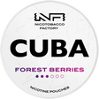 Cuba White Forest Berries-Nicotine Pouches-Gigasnus.com