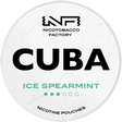 Cuba White Ice Spearmint