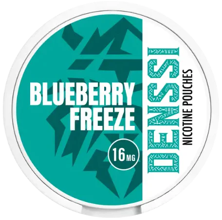 Denssi Blueberry Freeze-Nicotine Pouches-Gigasnus.com