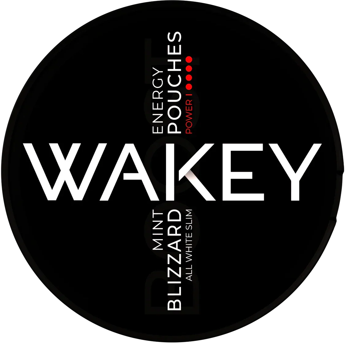 WAKEY Blizzard Mint 100 mg-Koffein Pouches-Gigasnus.com