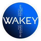 WAKEY Blizzard Mint-Koffein Pouches-Gigasnus.com