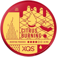 XQS Citrus Burning-Nicotine Pouches-gigasnus.com