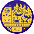 XQS Citrus Cooling Strong-Nicotine Pouches-Gigasnus.com